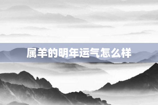 属羊的明年运气怎么样