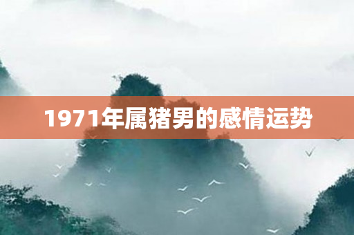 1971年属猪男的感情运势
