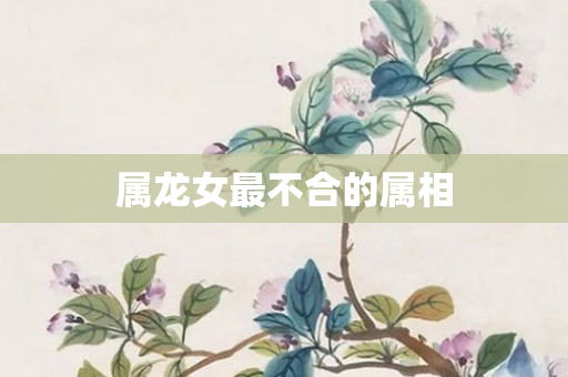 属龙女最不合的属相
