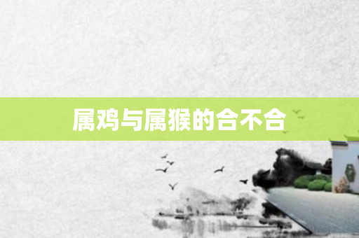 属鸡与属猴的合不合