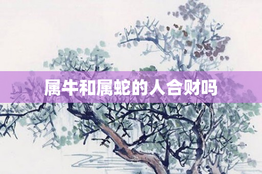 属牛和属蛇的人合财吗