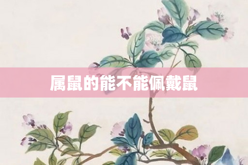 属鼠的能不能佩戴鼠