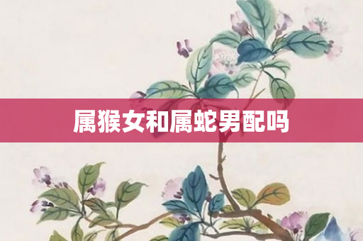 属猴女和属蛇男配吗
