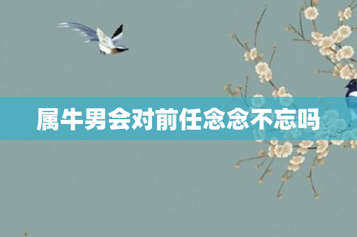 属牛男会对前任念念不忘吗