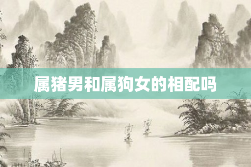 属猪男和属狗女的相配吗