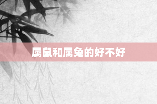 属鼠和属兔的好不好