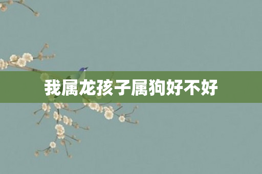 我属龙孩子属狗好不好