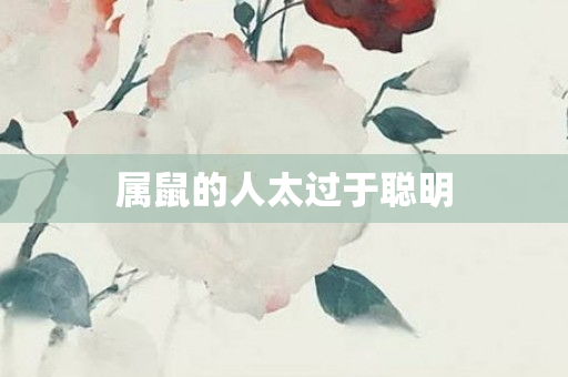属鼠的人太过于聪明