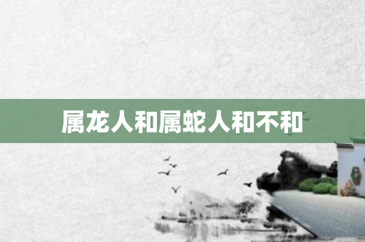 属龙人和属蛇人和不和