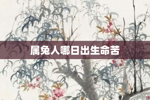 属兔人哪日出生命苦