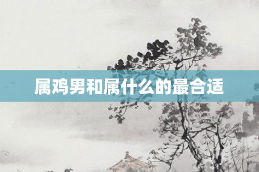 属鸡男和属什么的最合适