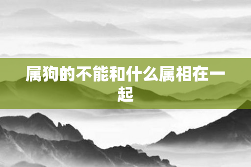属狗的不能和什么属相在一起