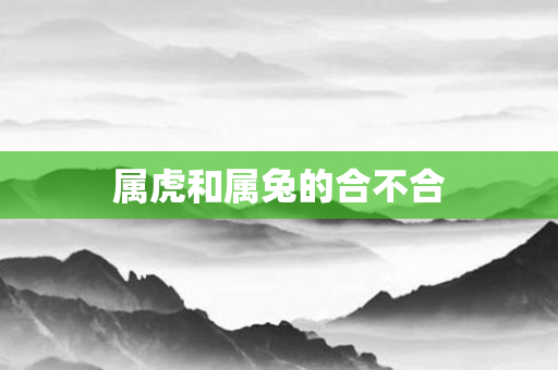 属虎和属兔的合不合