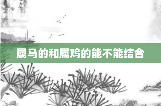 属马的和属鸡的能不能结合