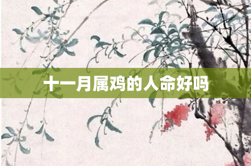 十一月属鸡的人命好吗