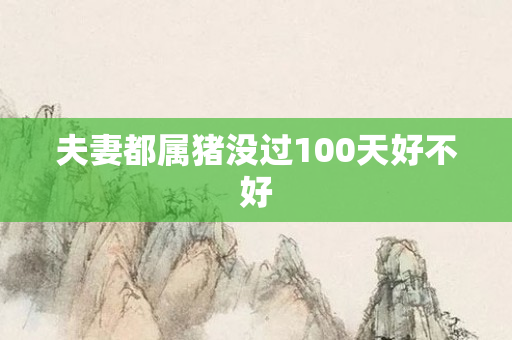 夫妻都属猪没过100天好不好