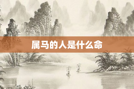 属马的人是什么命