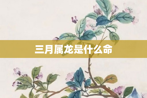 三月属龙是什么命