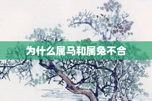 为什么属马和属兔不合