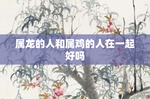 属龙的人和属鸡的人在一起好吗