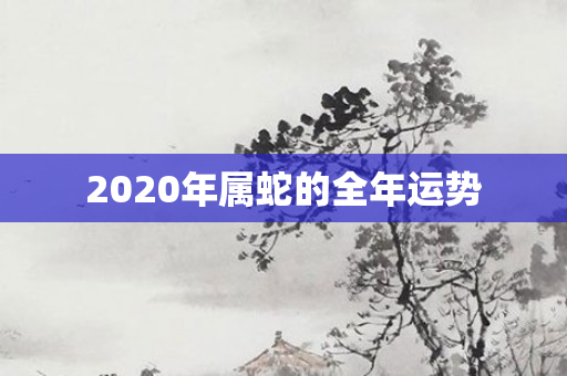 2020年属蛇的全年运势