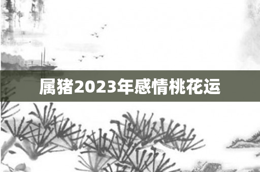属猪2023年感情桃花运