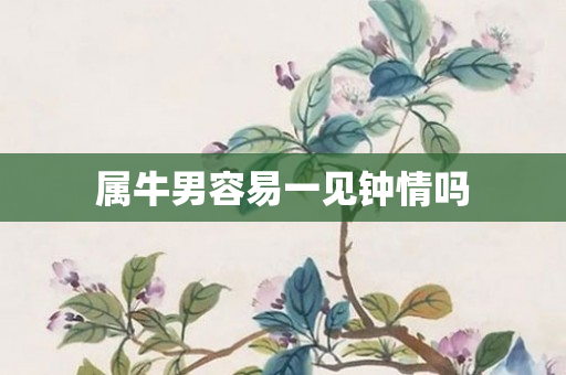 属牛男容易一见钟情吗