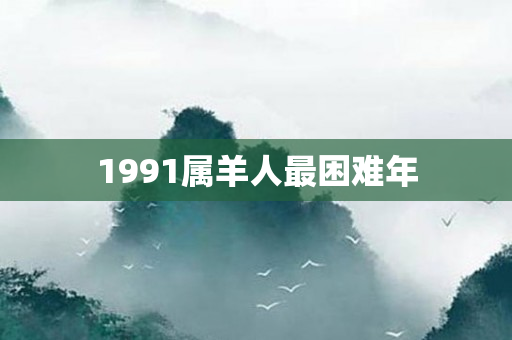 1991属羊人最困难年