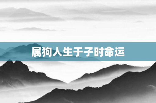 属狗人生于子时命运
