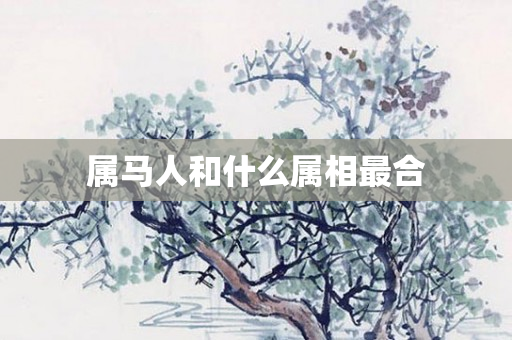 属马人和什么属相最合