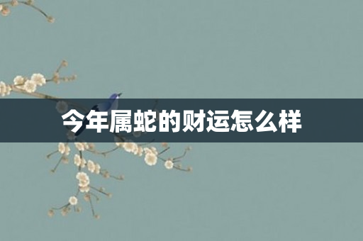今年属蛇的财运怎么样