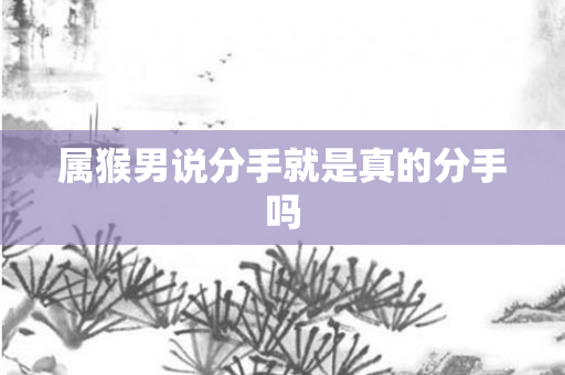 属猴男说分手就是真的分手吗