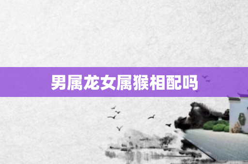 男属龙女属猴相配吗