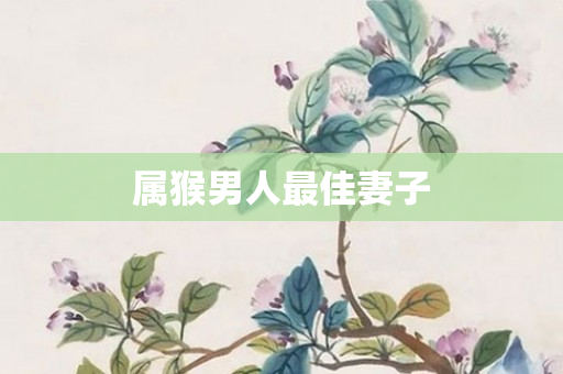 属猴男人更佳妻子