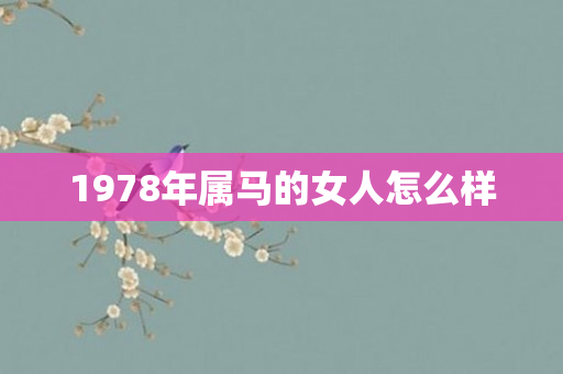 1978年属马的女人怎么样