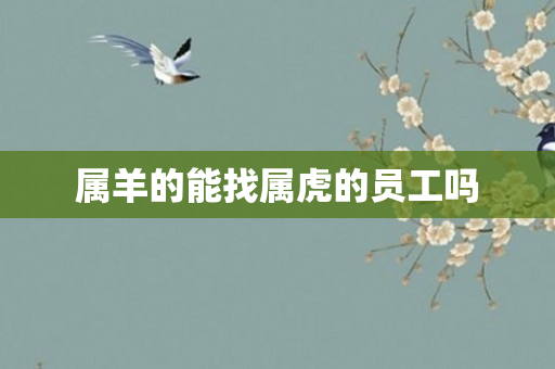 属羊的能找属虎的员工吗