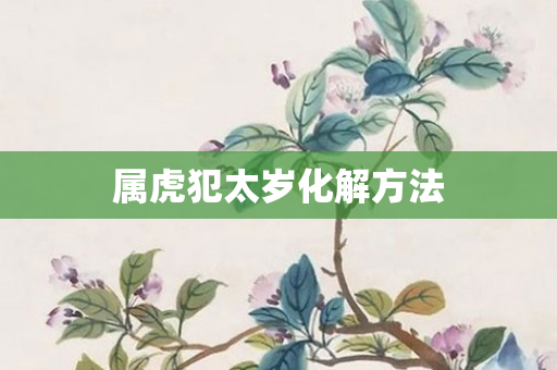 属虎犯太岁化解 *** 