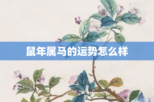 鼠年属马的运势怎么样