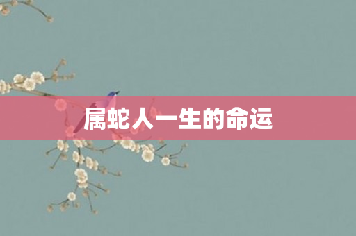 属蛇人一生的命运