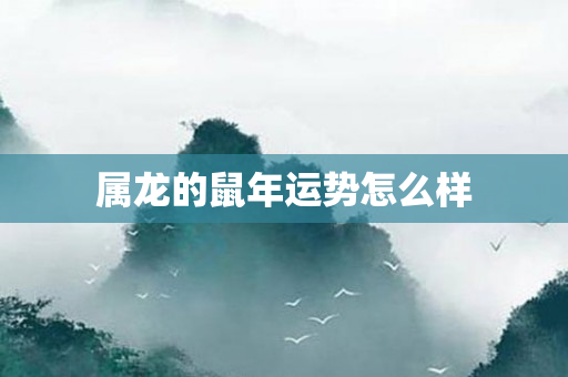 属龙的鼠年运势怎么样