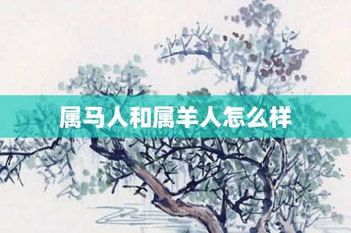属马人和属羊人怎么样