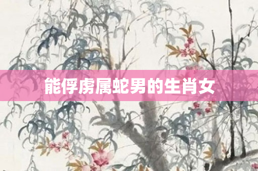 能俘虏属蛇男的生肖女