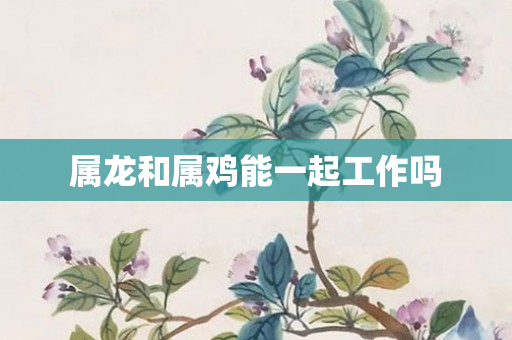 属龙和属鸡能一起工作吗