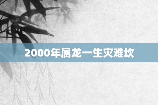 2000年属龙一生灾难坎