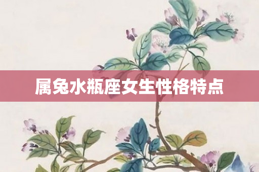 属兔水瓶座女生性格特点