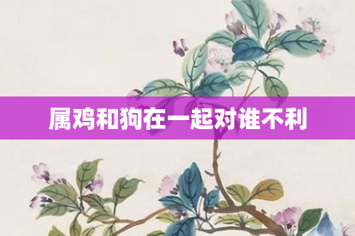 属鸡和狗在一起对谁不利