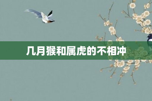 几月猴和属虎的不相冲