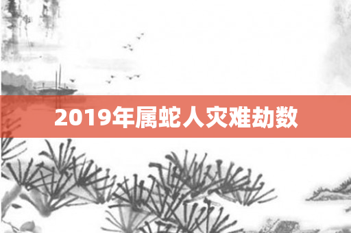 2019年属蛇人灾难劫数