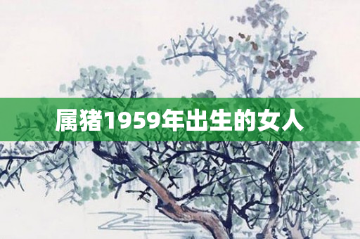 属猪1959年出生的女人
