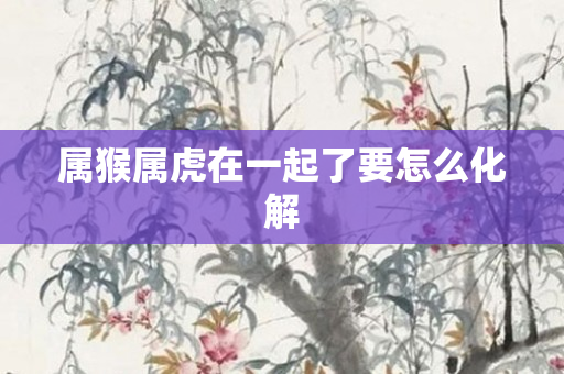 属猴属虎在一起了要怎么化解